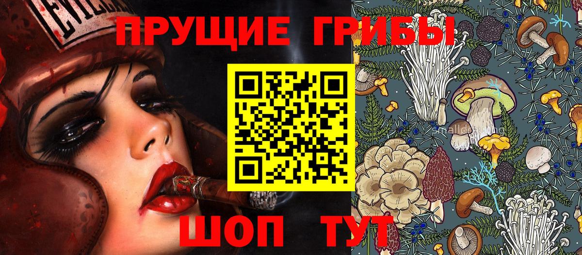 Псилоцибиновые грибы мицелий Елец